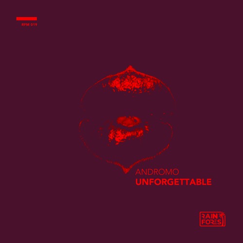 PREMIERE: Andromo - Unforgettable (Original Mix) [Rainforest Music]