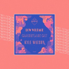 Kyle Watson - Camouflage Cat (Low Voltage Flip)