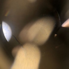 THATS MY LIFE (follow your dreams)