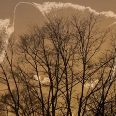 Push me to the edge (tvdanger)