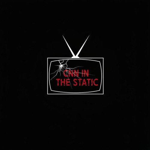 CNN IN THE STATIC