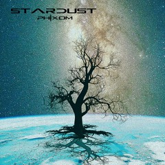 STARDUST