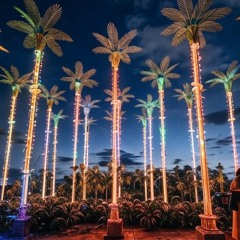 Palmen aus Plastik-Bonez MC & RAF Camora Remix