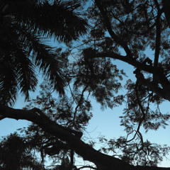 Humid
