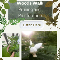 Pruning and Proliferation