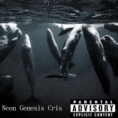 whales