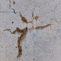 fallow