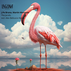 J.Pe Bruna – The Jandis (Original Mix)