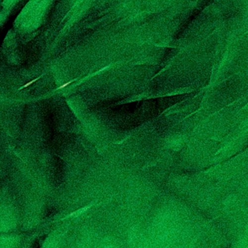 IVOXYGEN - NEW PLANET