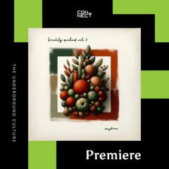PREMIERE: Pinkowitz - Other Side of the Coin [Sag & Tre]
