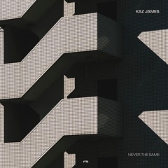 Kaz James  Never The Same  - ROSE AVENUE