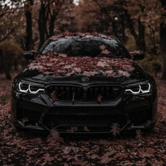 MiyaGi & Эндшпиль  - Заплаканная (44hz)