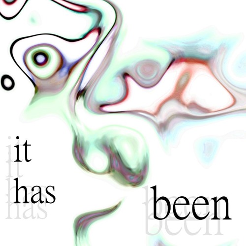 Seagulls Mark The Arrival