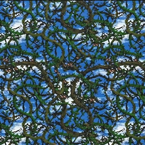 Stickerbrush
