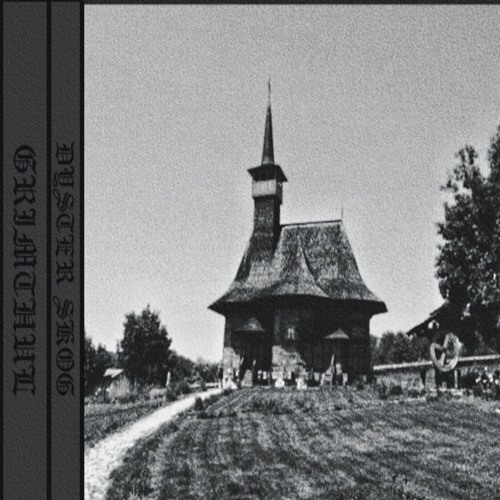 Dyster Skog