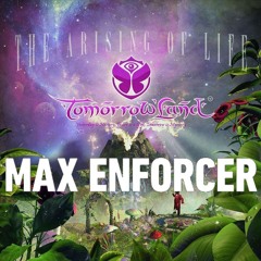 Max Enforcer @ Tomorrowland 2013