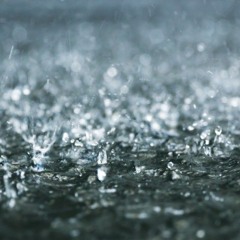 Bass house im 5tenog