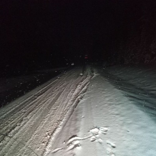 cold and bitter norrland....