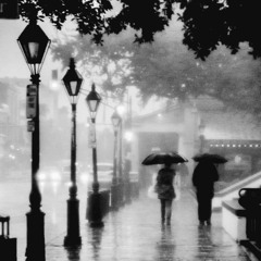 A Warm and Rainy Night