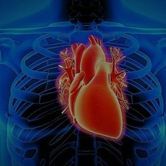 ~ARTerY...