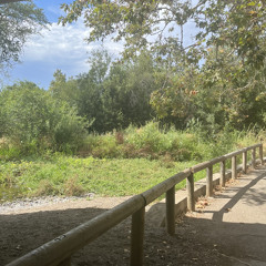 PhoneCall ( Sped up)