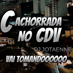 VAI TOMANDOOOO KKKK-CACHORRADA NO CDV-djjotaenne