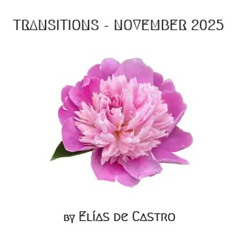 Transitions November 2025