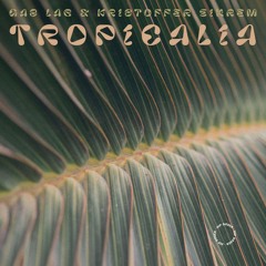 Gas Lab & Kristoffer Eikrem - Tropicalia