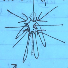 Hetty Blades - A way of paying attention