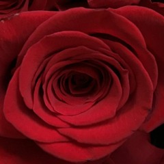 We Can Do It Right Here