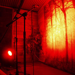 Red Murals ft. White Fawn - Bathed (White Fawn Edit)