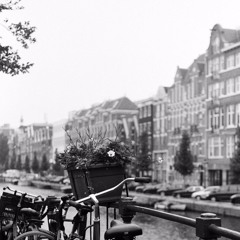 Possibility (Lykke Li cover)