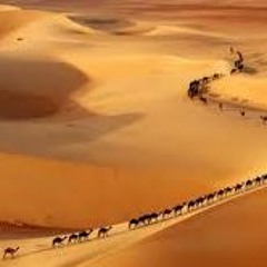 Song Of The Nabi'een
