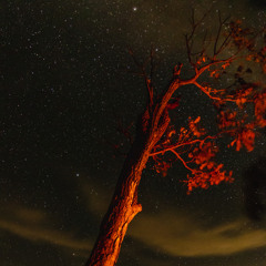 'The Interstellar Calling' mozawa_* =Synline