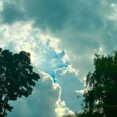 dety // Slow & Soft Sorbet // Set // 04.09.2025