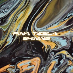 MOTZ Premiere: Pina Tesla - Intense Dreams (Amour Noir Remix)