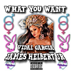 What You Want Featuring Vidal Garcia (Produced By Legion Beats)