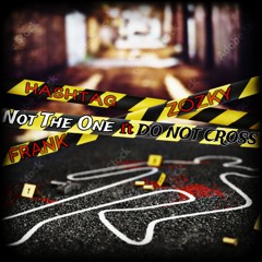 Not The One Feat. Frank Zozky