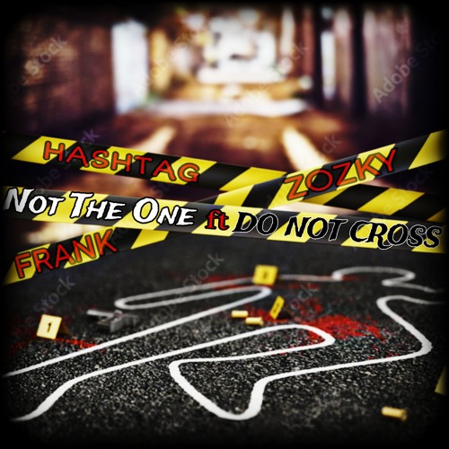 Not The One Feat. Frank Zozky