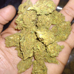 phat tire “teen beat”