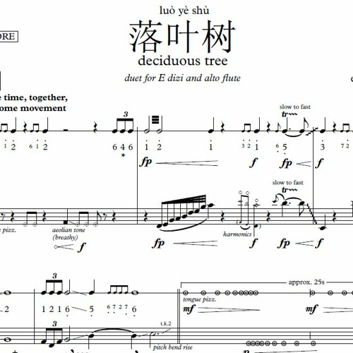 Deciduous Tree (luoyeshu) - E Dizi and Alto Flute (2019)