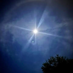 wine & dine Freestyle prod. FoxeMane