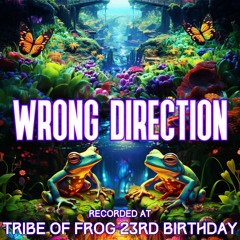 Wrong Direction - Recorded at TRiBE of FRoG 23rd Birthday - September 2023