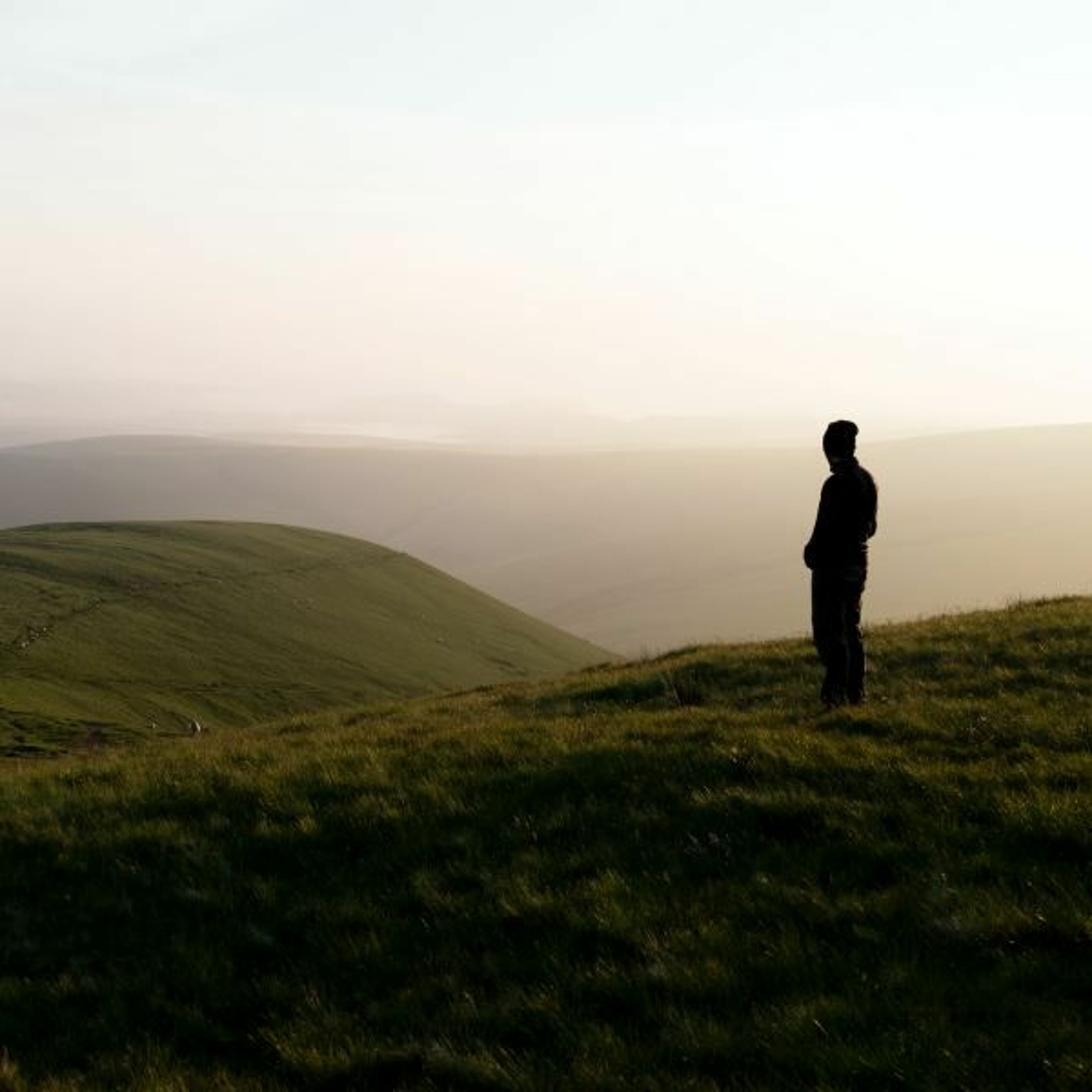 Transfiguration - Love that reaches out episode artwork