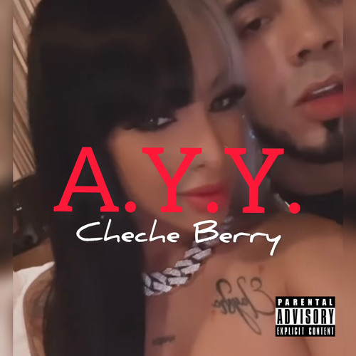 A.Y.Y. (anuel y yailin) -ChecheBerry