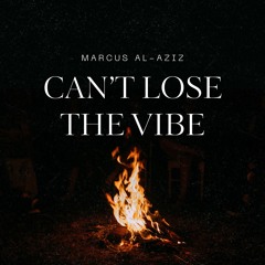 Can’t Lose the Vibe