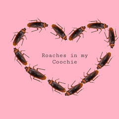 Roaches in my Coochie