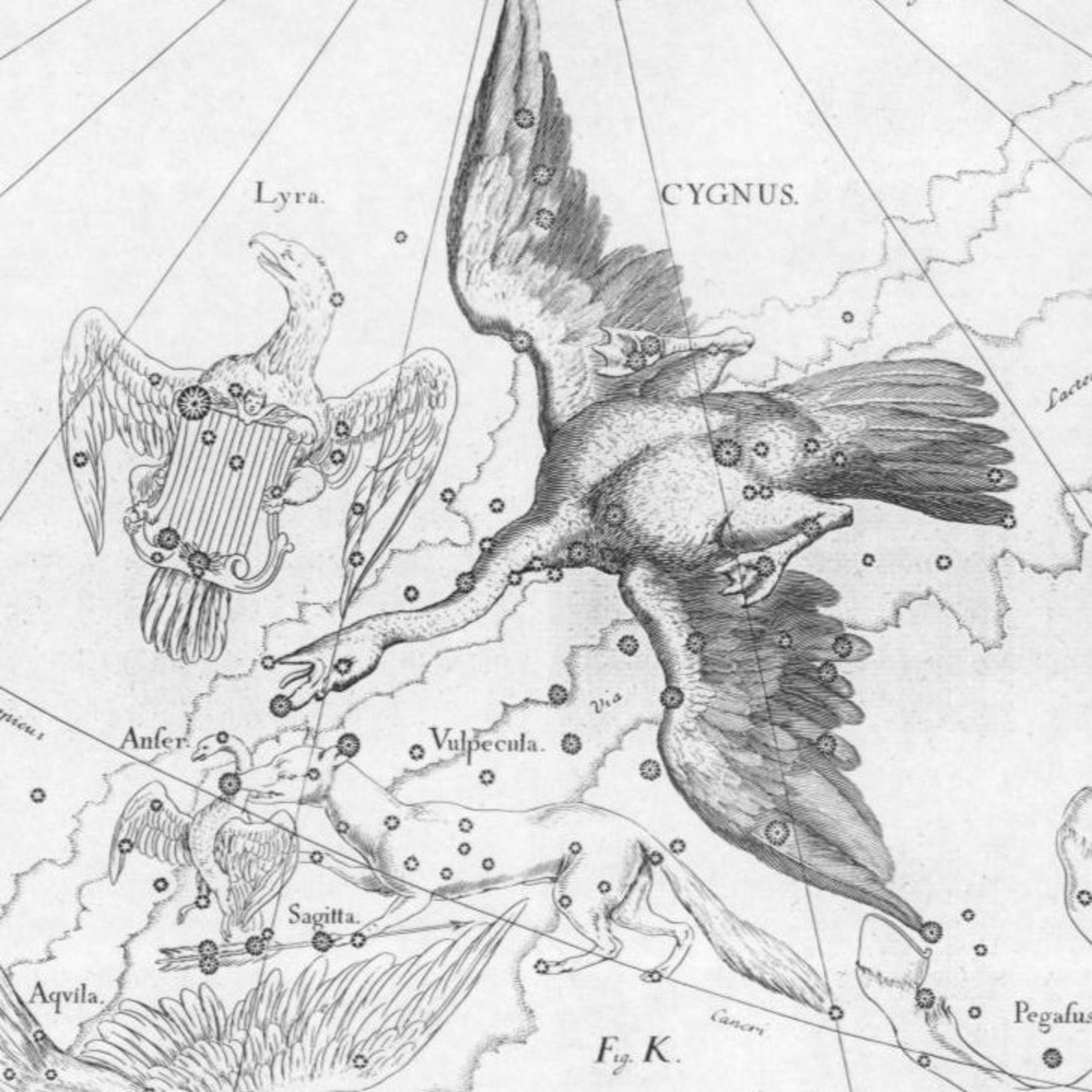 Episode 3, The summer triangle