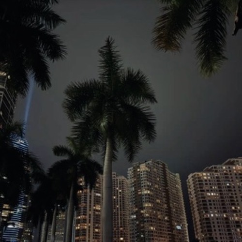 My Miami