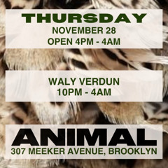 ANIMAL x Friendsgiving 11.28.2024 x Brooklyn